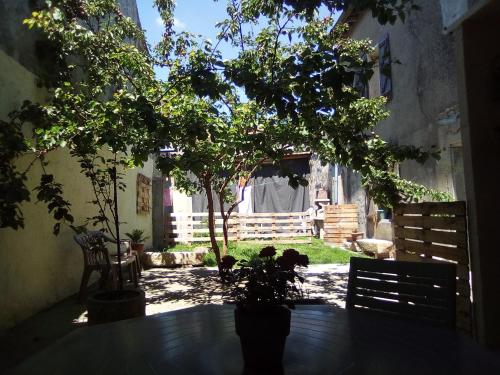 un árbol sentado sobre una mesa junto a una valla en Charmant studio centre ville Mirepoix, en Mirepoix