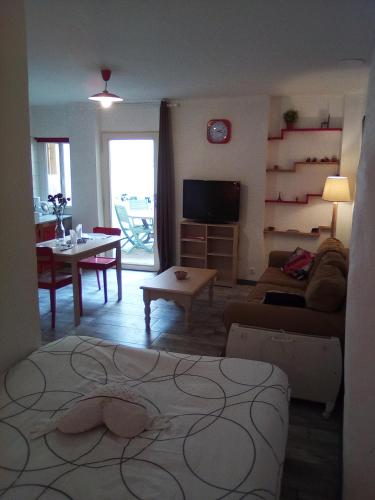 un salon avec un canapé et une table dans l'établissement Charmant studio centre ville Mirepoix, à Mirepoix