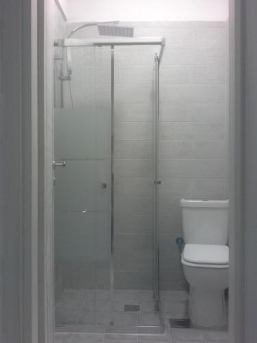 a bathroom with a shower and a toilet at Gala Apartment in Nea Potidaea
