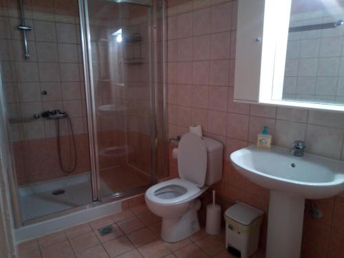 a bathroom with a shower and a toilet and a sink at Ostria Maisonettes and Studios in Stoupa