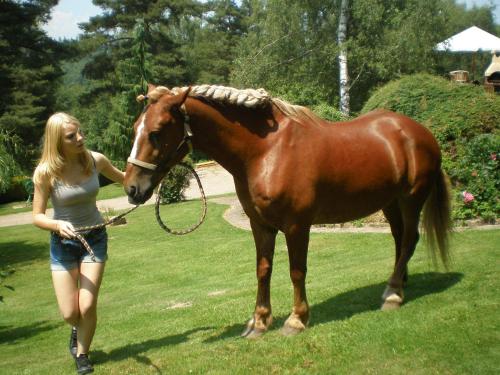 a woman is leading a brown horse in a field at Romantic Studio Vacances in Labaroche