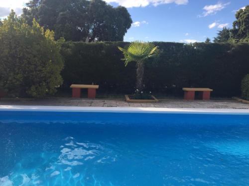 two benches and a palm tree next to a pool at Paz Rural a una hora de Madrid in Hontoba