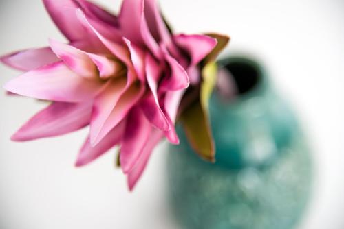 a pink flower sitting in a glass vase at Ischia Dream Sunset in Ischia