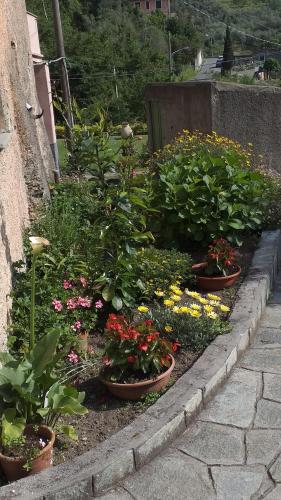 a garden with flowers and plants in pots at La camera del mulino in Levanto