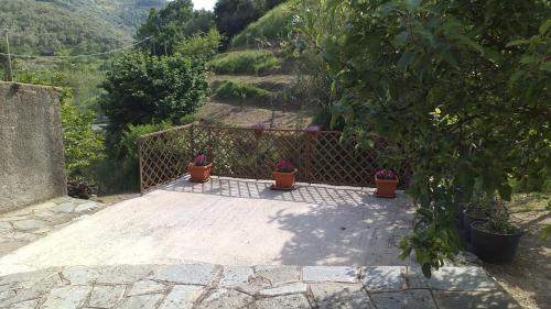 a group of potted plants sitting on a patio at La camera del mulino in Levanto