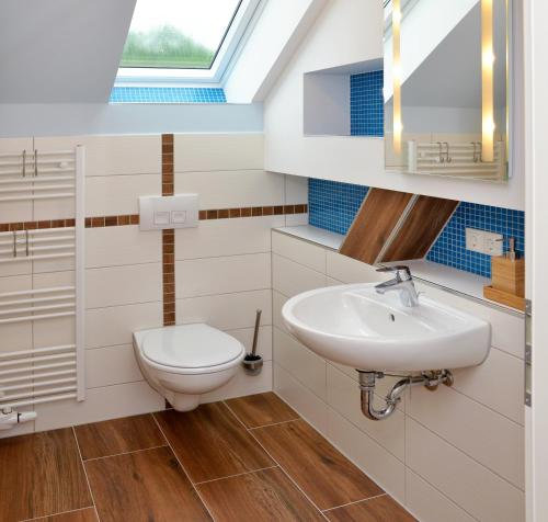 a bathroom with a toilet and a sink at Lehdsche Heubuchten in Lehde