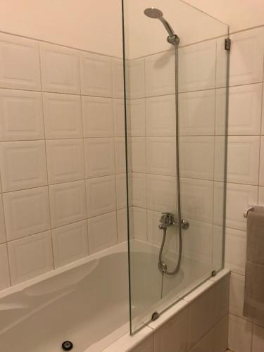 a shower with a glass door in a bathroom at Blue Eagle Guesthouse - Casa de hospedes in Santa Maria