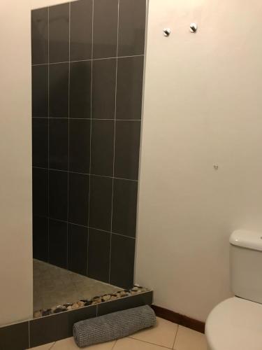 a bathroom with a shower and a toilet at Blue Eagle Guesthouse - Casa de hospedes in Santa Maria