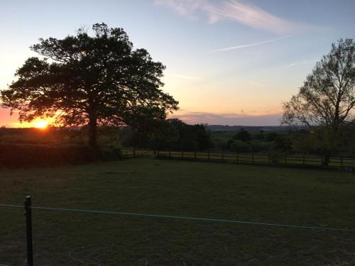 a sunset in a field with a tree and a fence at East Hillerton House in Crediton