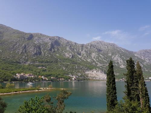Paisaje cerca de este apartamento