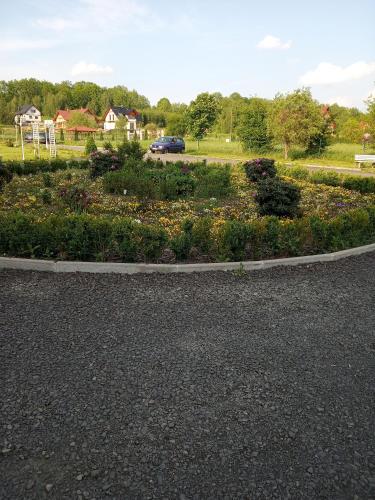 a garden with flowers on the side of a road at B&B Źródlana 46 in Olszyna
