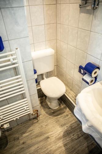 a bathroom with a toilet and a sink at Hotel Tum Stüürmann in Büsum