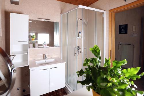 baño con lavabo, espejo y planta en Apartma Dolinar en Gorenja Vas