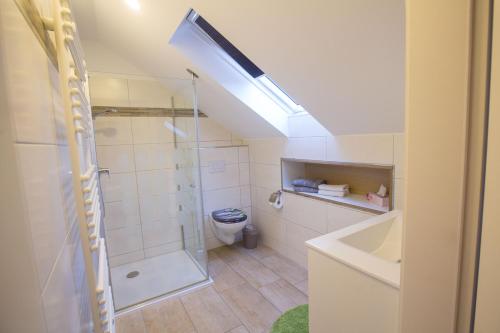 a bathroom with a shower and a toilet and a sink at Fewo Ben in Lohme