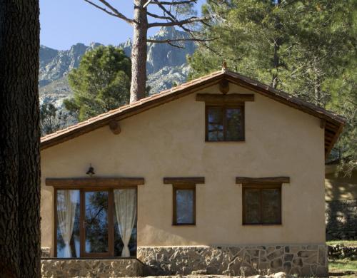 a house with windows and a tree at Lo Alto in El Arenal