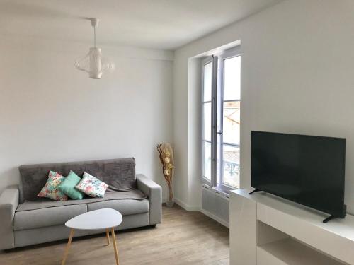 un salon avec un canapé et une télévision à écran plat dans l'établissement Appartement 5MN plages CANNES la Bocca, à Cannes