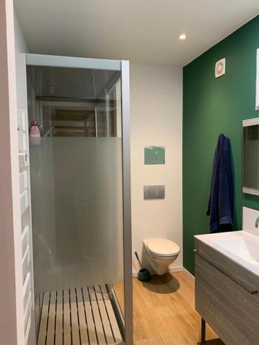 une salle de bain avec une douche avec des toilettes et un lavabo dans l'établissement cauterets nid douillet rénové, à Cauterets