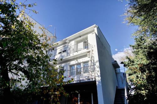 Green & Blue Apartment