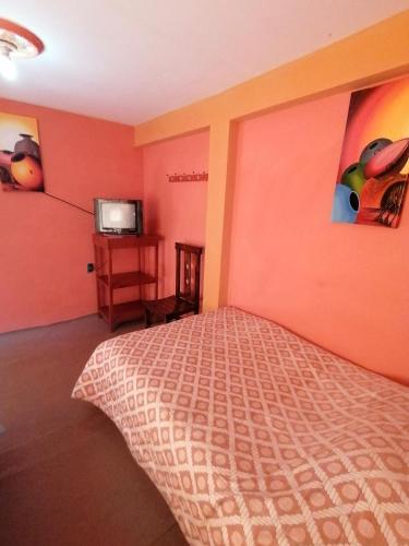an orange room with a bed and a tv at Hostal Puerto Alegre in Copacabana