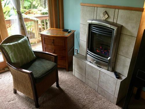 a living room with a chair and a television at At the Craters Edge in Volcano