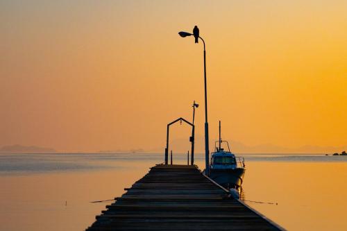 a boat on a dock with a bird on a street light at Sea Tiger Island Inn Shodoshima in Shodoshima