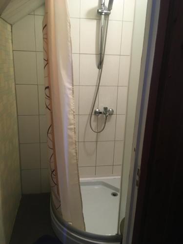 łazienka z prysznicem z zasłoną prysznicową w obiekcie Viesu nams Rūmes w mieście Rzeżyca