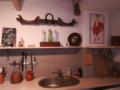 encimera de cocina con fregadero y estante en Chambres d'Hôtes Agorerreka en Saint-Étienne-de-Baïgorry