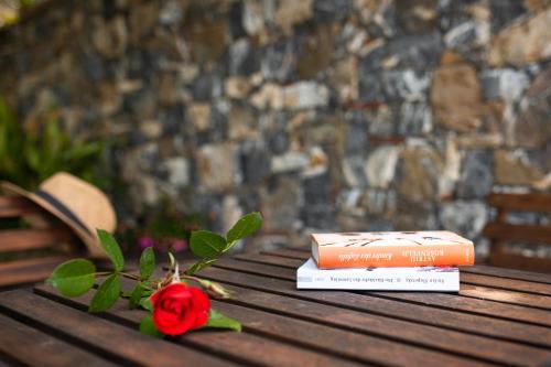 a book and a rose sitting on a wooden bench at Villa Serra d'Elci in Ascea