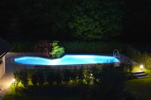 a swimming pool in a yard at night at Ferienwohnung Sonne in Kurort Gohrisch