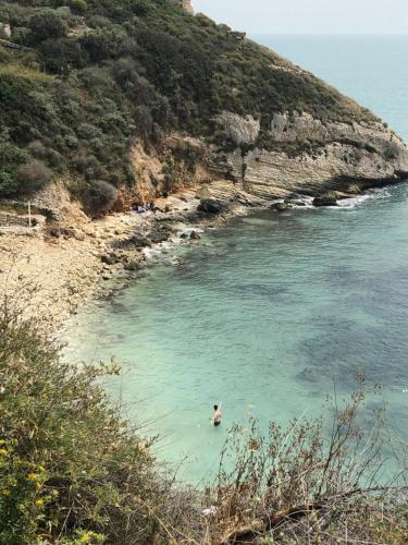 a person swimming in the water near a beach at La Lantana Nuova in Flumini di Quartu