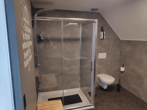 a shower stall in a bathroom with a toilet at *** Biezoe *** in Brakel