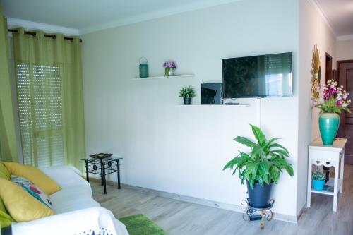Green house - Sea view