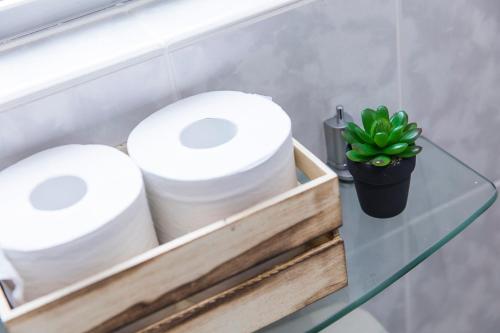 two rolls of toilet paper on a shelf with a plant at パームヴィラ-貸切プライベート-最大10名様のバケーションステイ-駐車場付き in Yaese