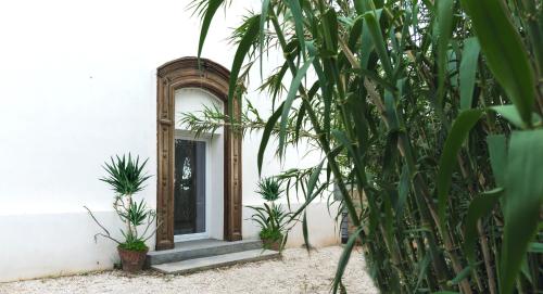 a mirror on the side of a building with plants at Naturarte Guesthouse in Terrasini