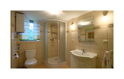 a bathroom with a toilet and a shower and a sink at Zacisze in Hołuczków