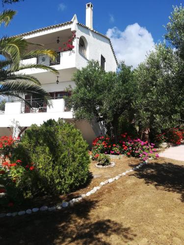 Zahrada ubytování Villa Mariana