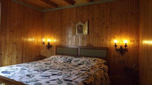 ein Schlafzimmer mit einem Bett in einer Holzwand in der Unterkunft Chalet del frassino in Macugnaga