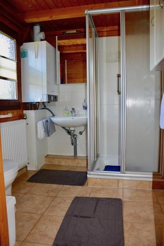 a bathroom with a shower and a sink at Blockhaus in Gnarrenburg