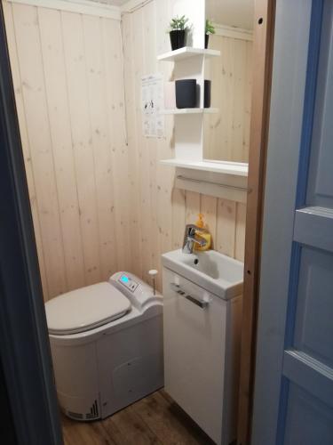 ハーグフォシュにあるInsel Korsnäsuddenのトイレと洗面台のある小さなバスルーム