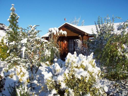 a house covered in snow with trees and bushes at Blockhaus in Gnarrenburg