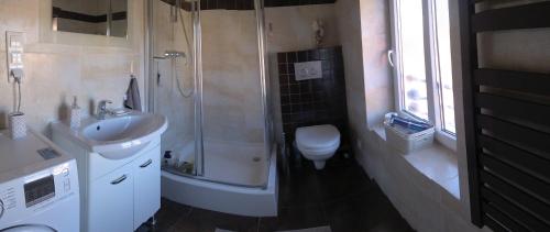 a bathroom with a shower and a sink and a toilet at Apartament Jastarnia ul Bałtycka 26 in Jastarnia