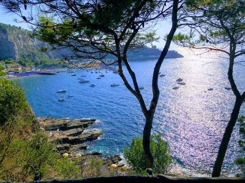 a view of a body of water with boats in it at Le Muse Suite in Sorrento