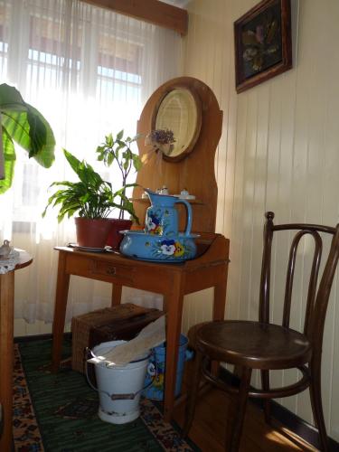 a table with a mirror and some plants on it at Hostal Opapa Juan in Puerto Varas