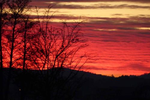 a sunset with two trees in the foreground at Cafe und Pension Ringer in Vilseck