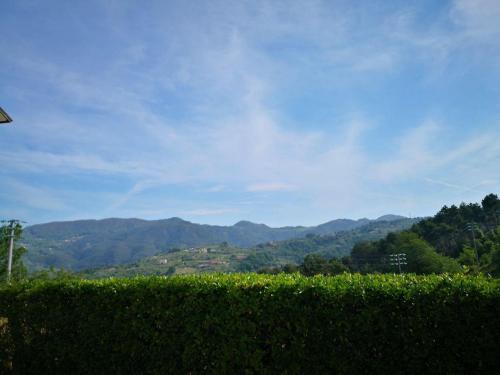 a hedge in front of a view of mountains at Residenza Bertolini in Fosdinovo