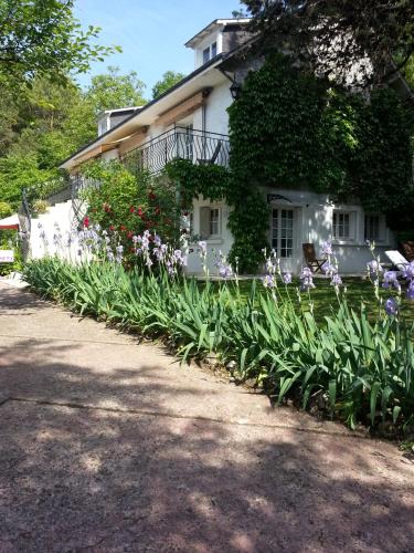 Taman di luar Studios Les Iris