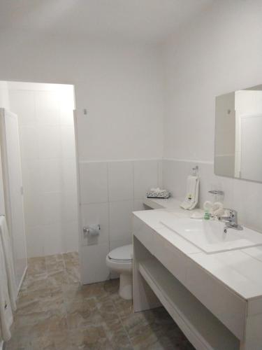 ヌエボ・バジャルタにあるBB INNの白いバスルーム(トイレ、シンク付)