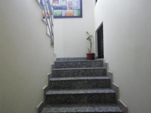 a staircase in a building with a potted plant at The Raveesh E24 - 2BHK Serviced Apartment in New Delhi