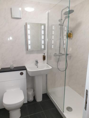 a bathroom with a toilet and a sink and a shower at Red Lion Hotel in Basingstoke