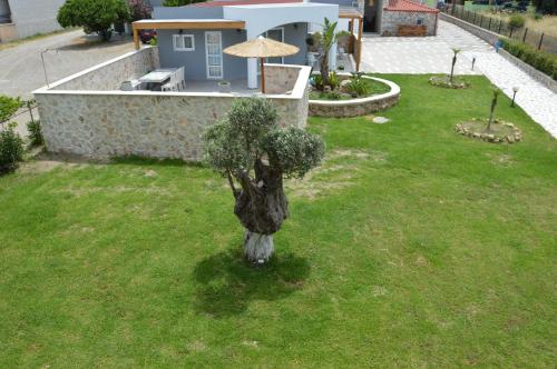 a small tree in the grass in front of a house at Kostas Studios in Faliraki